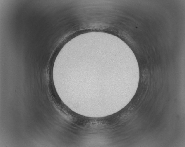 X0000075350632200610061722