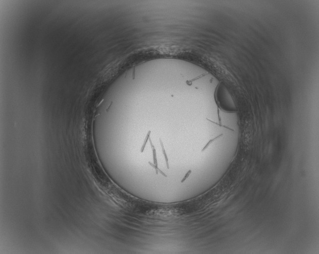 X0000075350639200610061722