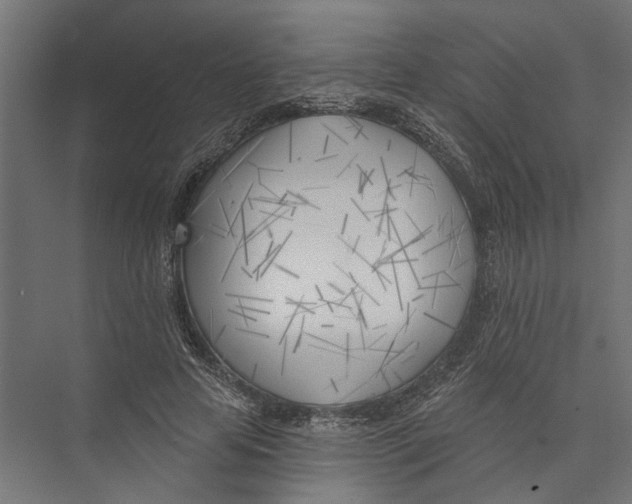 X0000075350641200610061722