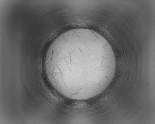 X0000075350642200610061722