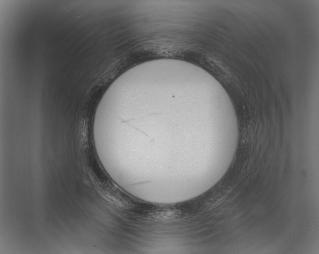 X0000075350646200610061722