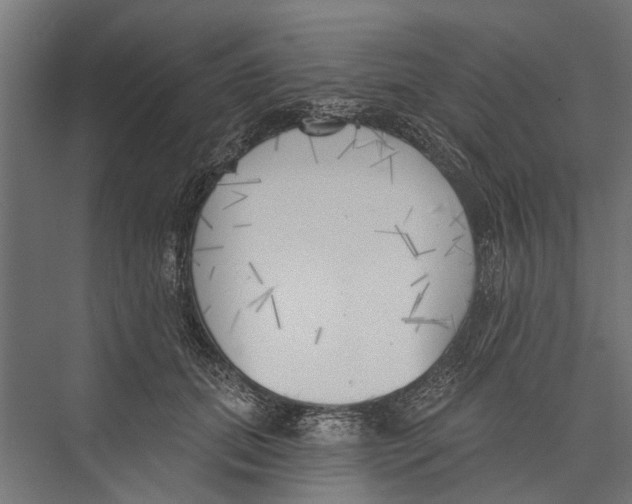 X0000075350655200610061722