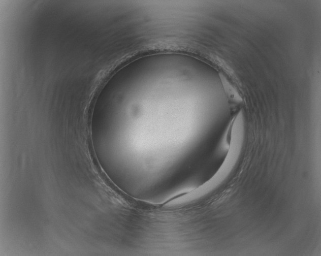 X0000075350673200610061721
