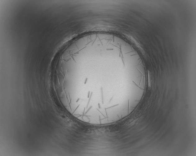 X0000075350675200610061721