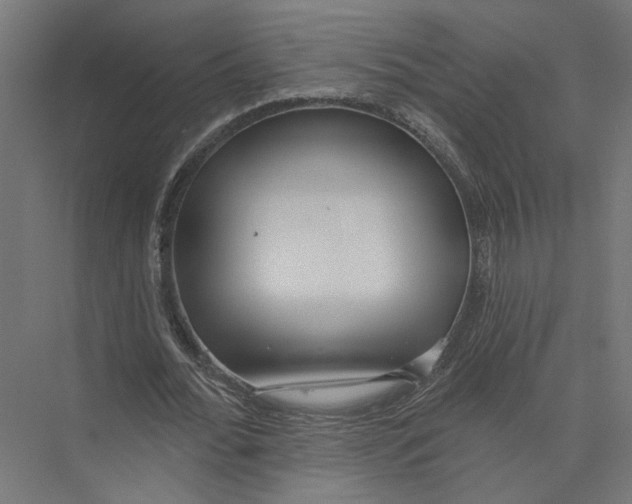 X0000075350676200610061721
