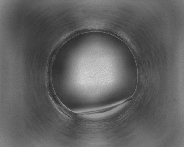 X0000075350677200610061721