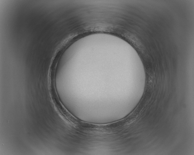X0000075350678200610061721