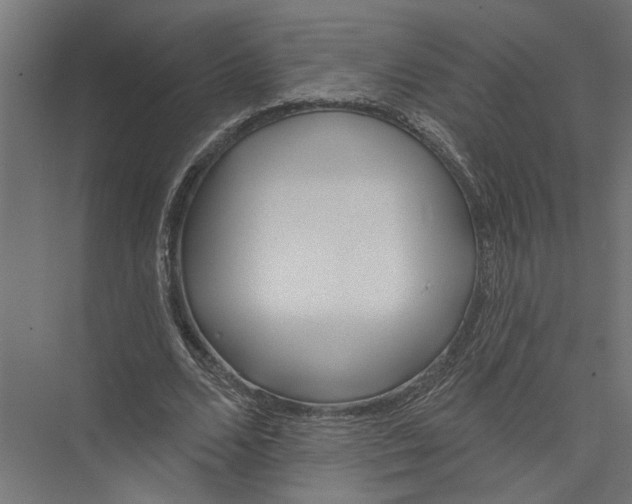 X0000075350680200610061721