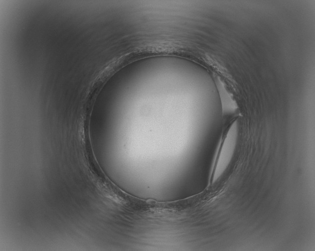 X0000075350681200610061721