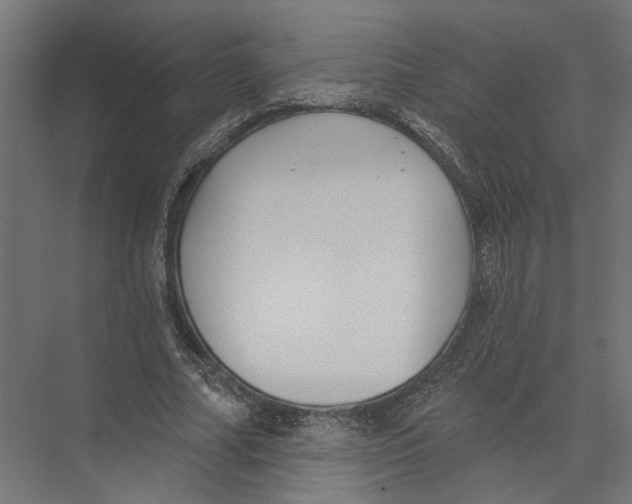 X0000075350682200610061721