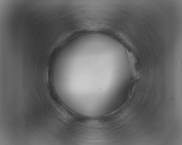 X0000075350685200610061721