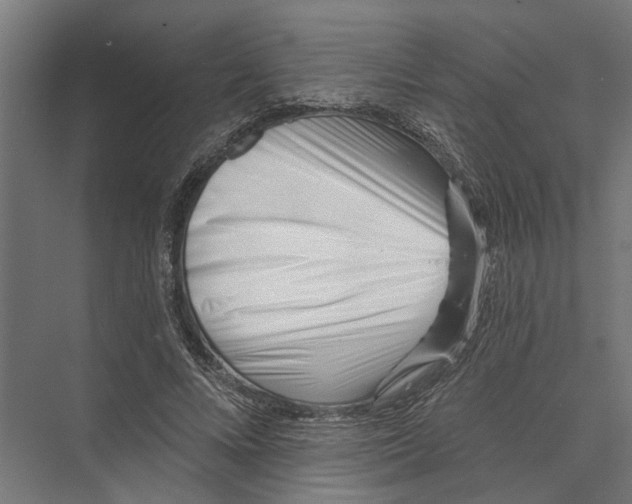 X0000075350688200610061721