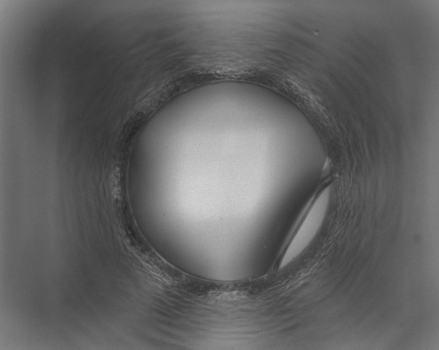 X0000075350689200610061721