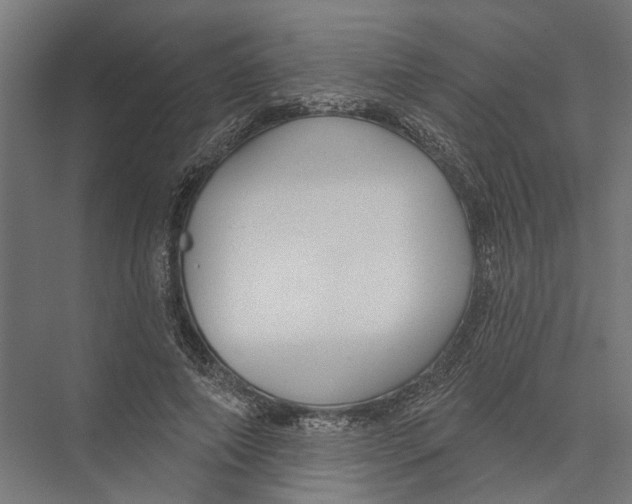 X0000075350690200610061721