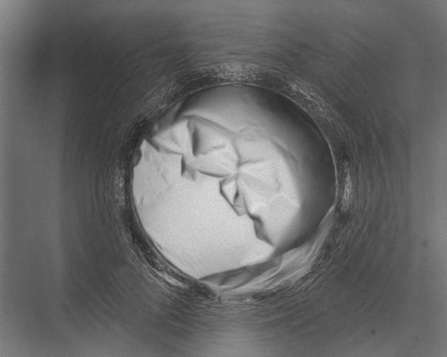 X0000075350696200610061721