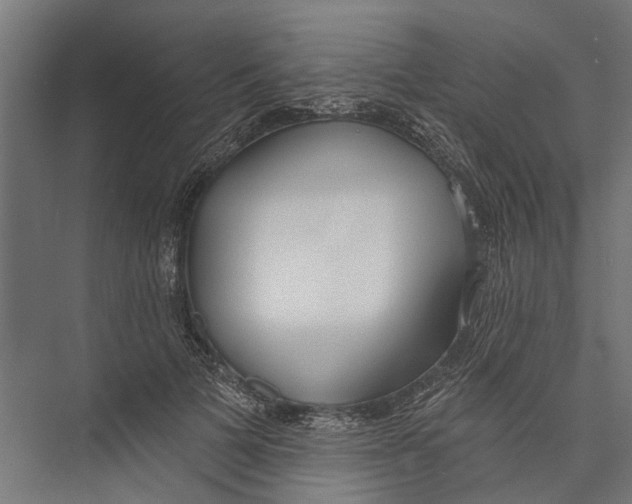 X0000075350697200610061721