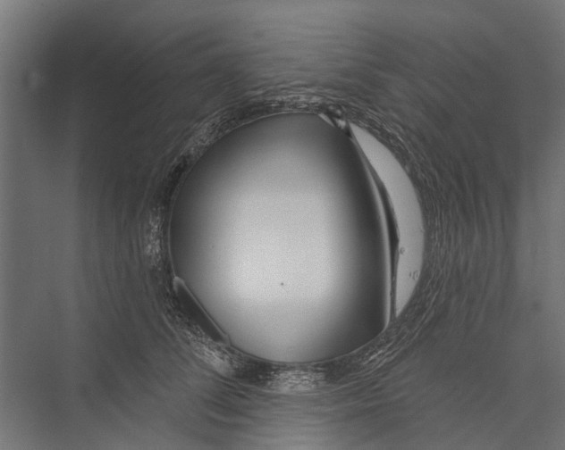 X0000075350708200610061721