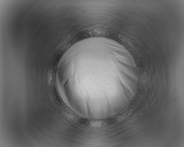 X0000075350709200610061721