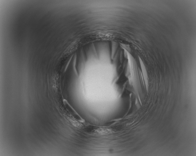 X0000075350712200610061721