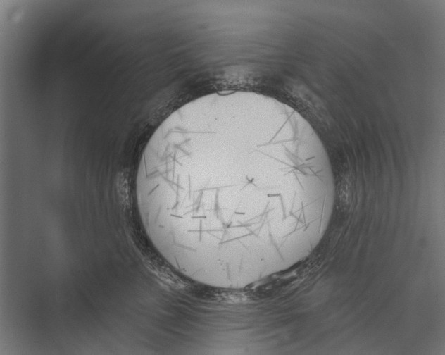 X0000075350715200610061721