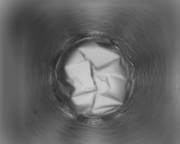 X0000075350716200610061721