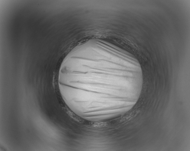 X0000075350720200610061721