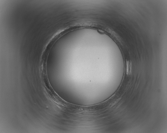 X0000075350723200610061720