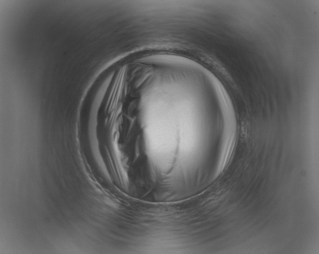 X0000075350724200610061720
