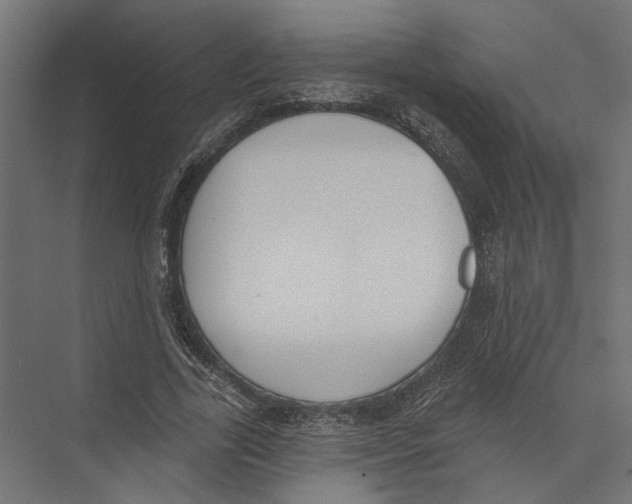 X0000075350731200610061720