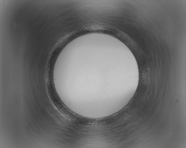 X0000075350732200610061720