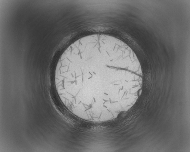 X0000075350734200610061720