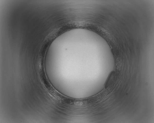 X0000075350740200610061720