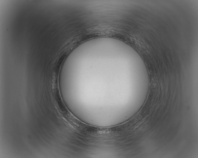 X0000075350744200610061720