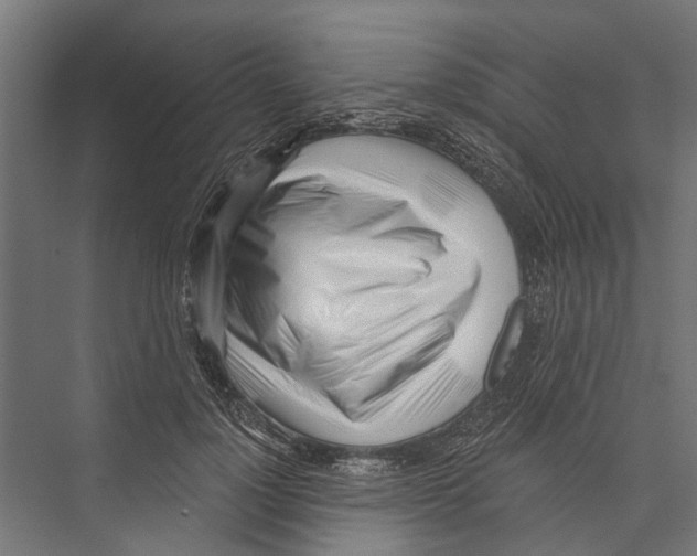 X0000075350748200610061720