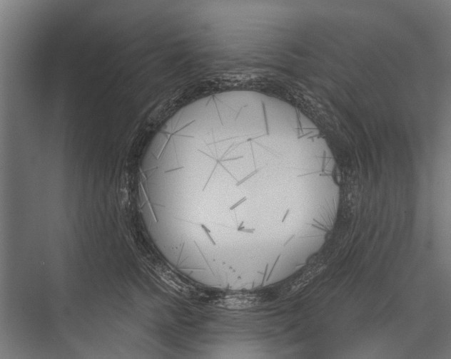 X0000075350758200610061720