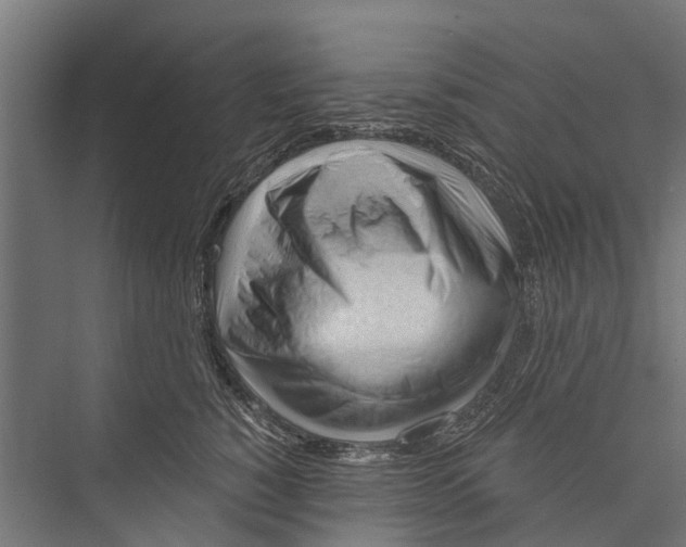 X0000075350760200610061720