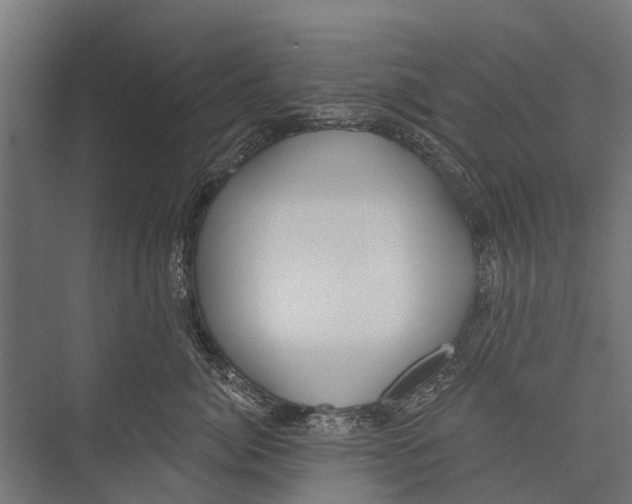 X0000075350764200610061721