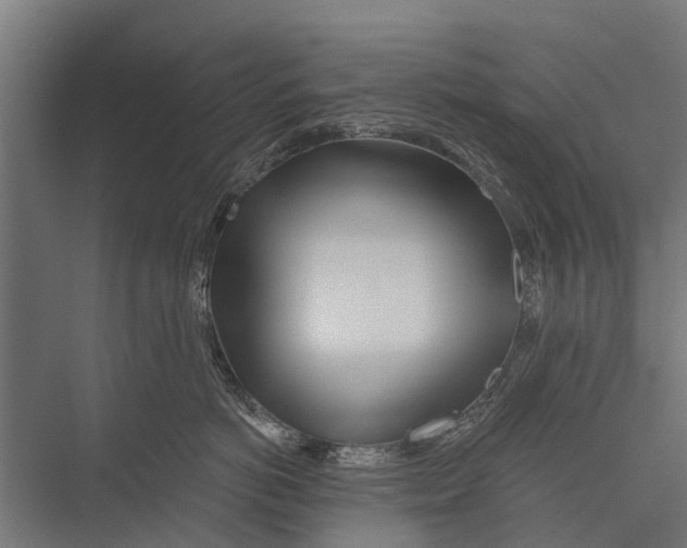 X0000075350766200610061721