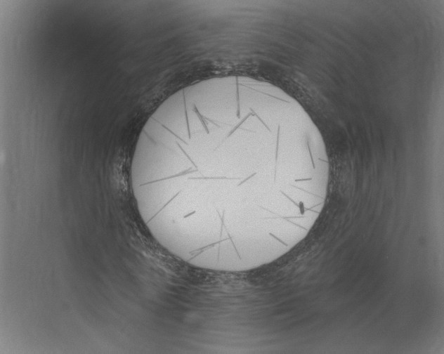 X0000075350770200610061720