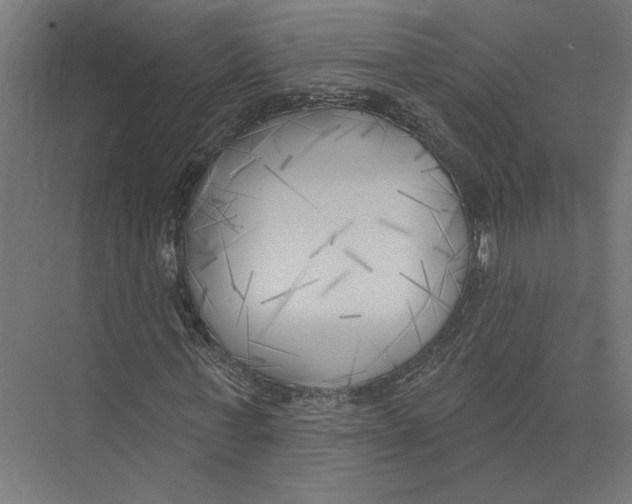 X0000075350771200610061720