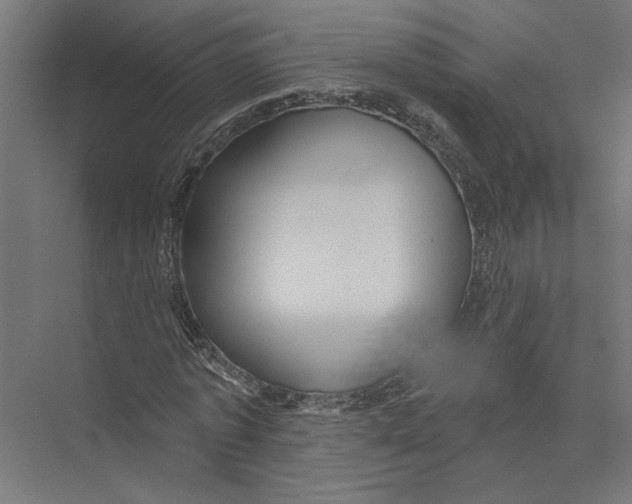 X0000075350773200610061720
