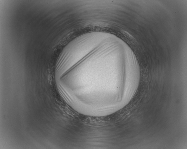 X0000075350774200610061720