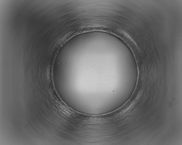 X0000075350777200610061720