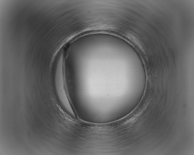 X0000075350781200610061720