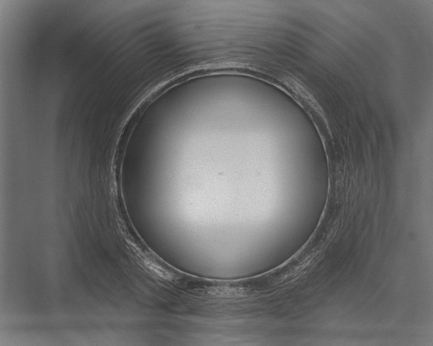X0000075350789200610061719
