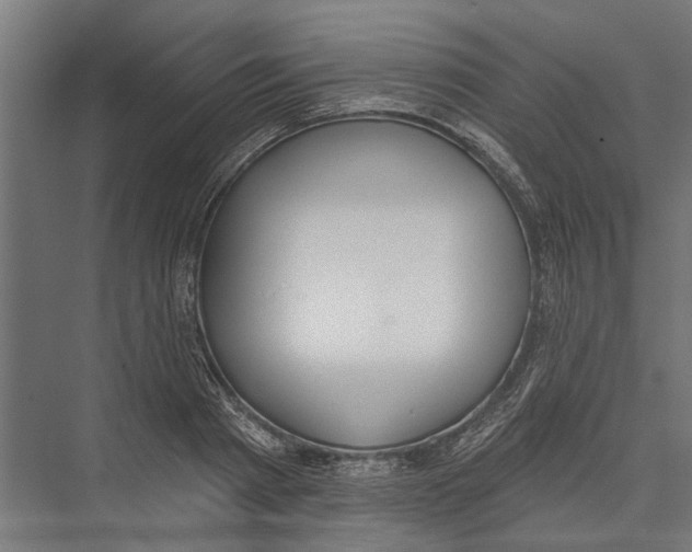 X0000075350793200610061719