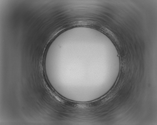 X0000075350794200610061719
