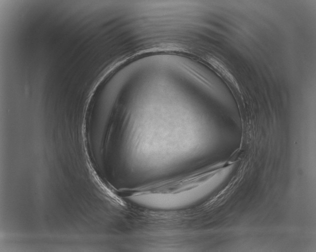 X0000075350797200610061719