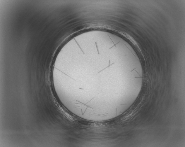 X0000075350799200610061719