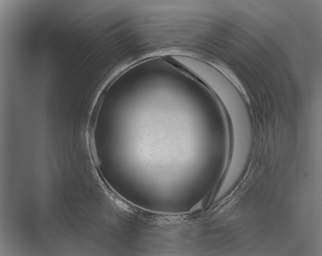 X0000075350813200610061719